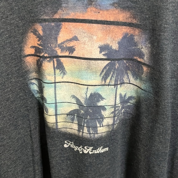 Flag and anthem short sleeve T-shirt hazy. Palms. - Picture 2 of 4